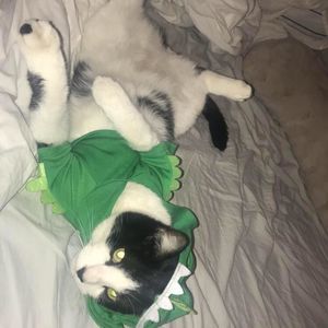 Meet your Posher, Angela